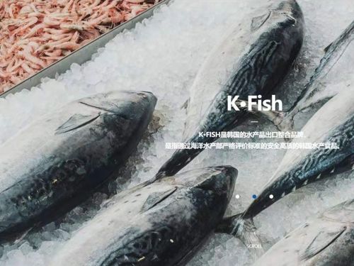 韓國(guó)水產(chǎn)協(xié)會(huì)上海貿(mào)易支援中心舉辦K-Seafood線上采購(gòu)洽談會(huì)，助力國(guó)內(nèi)貿(mào)易代理合作